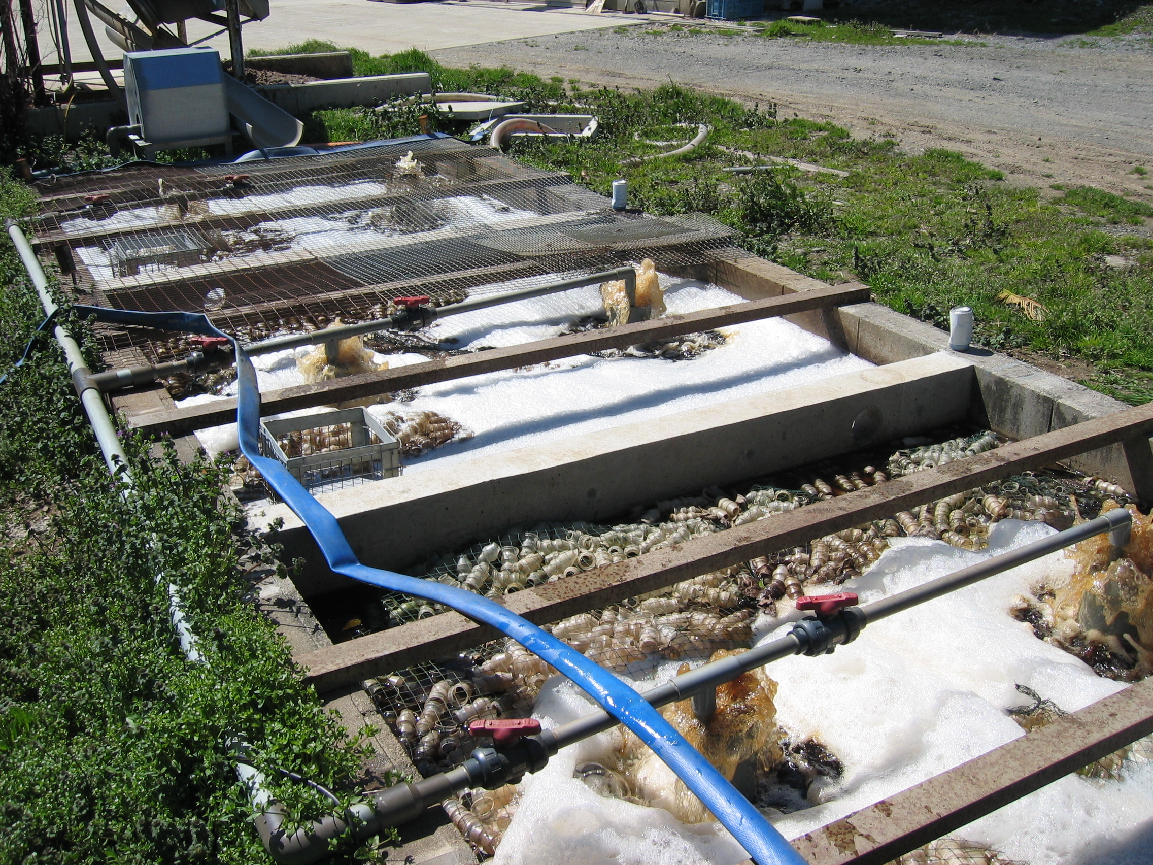 Organic wastewater treatment system